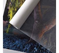 Canson Archival Photo box, Papel Cristal, Suave, 40g, Rollo, 1,118x50m
