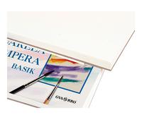 Canson hojas de acuarela Basik A3 (6 hojas)