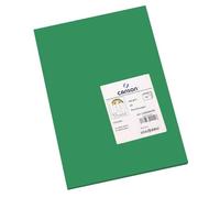 Cartulina CANSON Iris Vivaldi Din-A3 185 gr. Verde Abeto, Pack x50