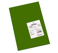 Canson Iris Vivaldi, Papel de dibujo de color, Suave, 185gsm, Hoja, A4-21x29,7cm, Rosa Chicle