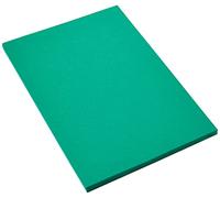 Canson Iris Vivaldi, Papel de dibujo de color, Suave, 185gsm, Hoja, A4-21x29,7cm, Verde amazonas