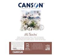 Canson Mi-Teintes 60% Abeja 160 g Bloc Encolado 32 x 41 20H Blanco