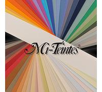 Canson Papel para Pastel Mi-Teintes 160g 110x75cm Blanco Nº335, 25 Unidades