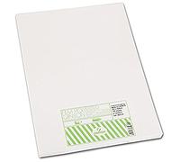 Canson Polyester Mate (2c) 75µ Transparente, Paquete A3 (100 Hojas)