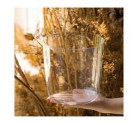 Canto de cristal, Cuenco tibetano de cristal de cuarzo sintonizado con chakras, de 15 a 20 cm, con múltiples notas, for meditación y sanación sonora.(8 Inch F)