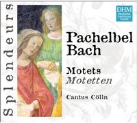 Cantus Colln - DHM Splendeurs: Pachelbel/Bach: Motets