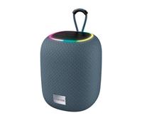 CANYON Altavoz Bluetooth BSP-8 Gris