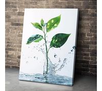 CAOXTART Poster con schizzi d'acqua e foglie, quadri su tela per il bagno | Decorazione murale per bagno e toilette | Stampe su tela per il bagno (70x100 cm/senza cornice)