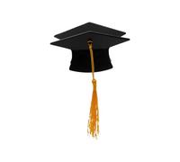 Cap Inspired Hair Accessories - Elegant Academic Theme Barrettes, Decorative Tassel Embellishment Pieces, Strong Hold Clip Mechanism, Trendy Festive Outfit Complement | Perfect Graduation Ceremony