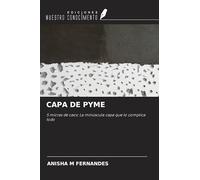 CAPA DE PYME: 5 micras de caos: La minúscula capa que lo complica todo