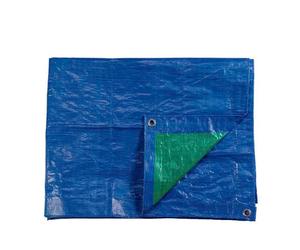 Capa Plástica EdM - 5x8m - Azul/Verde