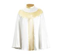 Capa Vampiro Medieval Renacentista Cuello Alto Disfraz Halloween Hombre