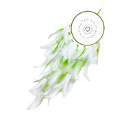 Capacadores Los Sueños Blancos Y Verdes Con Plumas Y Cuentas Para Niños Y Pared Dormitorio Con Diseños Tradicionales