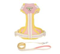 CAPASTEC Arnés para Perros Sin Tirón con Correa De 1.4m Ajustable Arnés Acolchado Suave Arnés Reflectante Sin Ahogo para Mascotas con Mango De Fácil Control para Paseos S Rosa