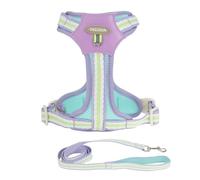 CAPASTEC Arnés para Perros Sin Tirón con Correa De 1.4m Ajustable con Acolchado Suave Reflectante Sin Ahogo para Mascotas con Mango De Fácil Control XL Morado