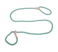 CAPASTEC Correa Deslizante para Perros con Dispositivo Antiahogo Durable Y Suave Trenzada con Collar Ajustable Correa para Perros Medianos Y Grandes 1.8m x 14mm Verde Claro
