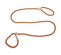CAPASTEC Correa Deslizante para Perros con Dispositivo De Parada De Tiro Durable Y Suave Trenzada con Collar Ajustable Correa para Perros Medianos Y Grandes 1.5m x 8mm Naranja