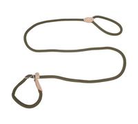 CAPASTEC Correa para Perros Correa Deslizante con Dispositivo De Parada Durable Y Suave Trenzada con Collar Ajustable Correa para Perros Medianos Y Grandes 1.5m x 8mm Beige