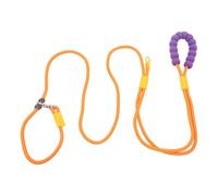 CAPASTEC Correa para Perros Manos Libres Ajustable Multifunción Cinturón Cruzado 2.5m 8.2ft Correa de Entrenamiento Mango de Espuma para Perros Pequeños Medianos Grandes Naranja Morado