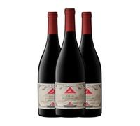 Cape of Good Hope Riebeeksrivier Syrah Western Cape 75 cl Vino tinto (Caja de 3 Botellas de 75 cl)