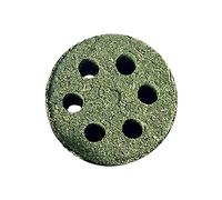 CAPEDE MAYOR CAMPIO BUNNY JUEGO GUINE PAQUETES TIMOTHY TIMOTHY EHE TARJETA | los juguetes para masticar de conejillo de indias son buenos para los dientes. Pueden masticar para masticar