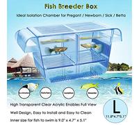 capetsma Caja de criador de Peces Flotante con Rejilla extraíble, Divisor peceras Embarazadas lesionadas, Azul, L