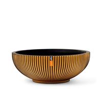 Capi Europe - Cuenco Groove Black & Gold - 40x15 - Oro - Maceta para Interiores - CAPI Indoor - BGVGB037
