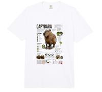 Capibara Los Datos más Grandes del Mundo sobre roedores Comfort Colors Adult Heavyweight T-Shirt