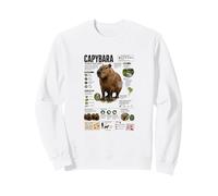 Capibara Los Datos más Grandes del Mundo sobre roedores Sudadera