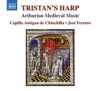 Capilla Antigua de Chnichilla - Tristan'S Harp Arthurian Medieval Music