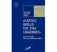 «Capisci quello che stai leggendo?». Il senso letterale nella storia dell'esegesi biblica (L' abside)