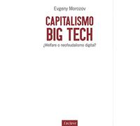 Capitalismo Big Tech: ¿welfare O Neofeudalismo Digital?