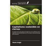 Capitalismo sostenible en ciernes: El papel de las escuelas de negocios en la defensa de la agenda de sostenibilidad en el contexto del aprendizaje permanente