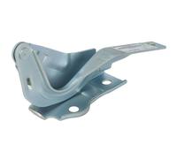 Capó - Bisagras BLIC 6802-00-3181451P