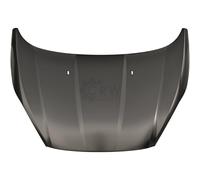 Capó Compatible Para FORD FIESTA VI