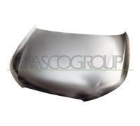 Capó Del Motor Prasco AD1203100 Premium para Audi