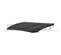 Capó Del Motor Prasco BM1233100 para Bmw