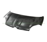 Capó Del Motor Prasco FT1243100 Premium para Fiat