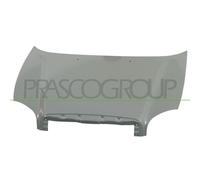 Capó Del Motor Prasco HN8123110 para Hyundai
