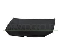 Capó Del Motor Prasco VG0233100 para VW