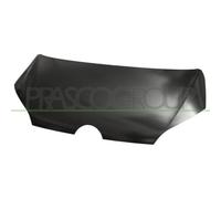 Capó Del Motor Prasco VG2013100 para VW