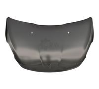 Capó Delantero Compatible Para Peugeot 208 CA_ CC_