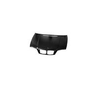 Capó Delantero para BMW Serie 3 e46 Coupe 2003-2006 OEM 46617065256