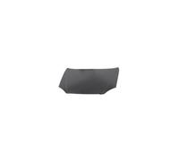 Capó Delantero para Chevrolet Lacetti De 2004 OEM 96548973