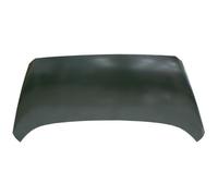 Capó Delantero para Kia Venga De 2010 OEM 664001P000