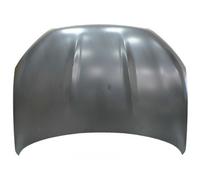 PRASCO Capó Compatible Para Nissan Qashqai +2 I J10 JJ10 DS7113100