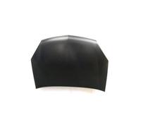 Capó Delantero para Opel Signum Vectra C De 2005 OEM 1160012