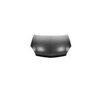 Capó Delantero para Renault Clio 2001-2005 OEM 7751473024