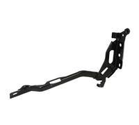 Capó - piezas BLIC 6802-00-2593452P