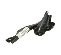 Capó - piezas BLIC 6802-00-3479451CP